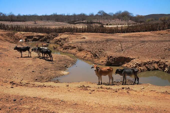 Seca no Sertão do Piauí